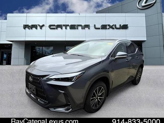 LEXUS NX 2023 2T2GGCEZ2PC028171 image