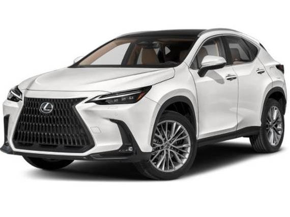 LEXUS NX 2023 2T2HKCEZ1PC011641 image