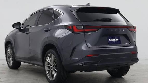 LEXUS NX 2023 2T2GGCEZ8PC016428 image