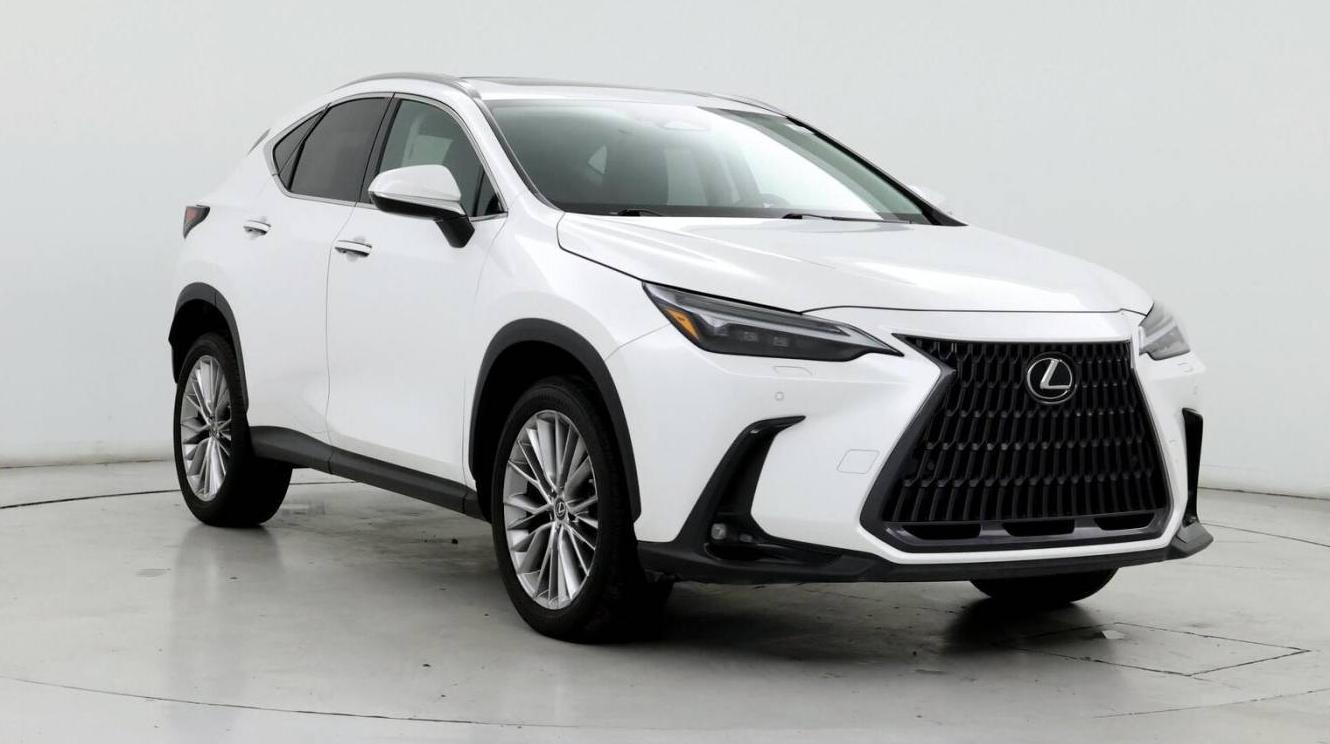 LEXUS NX 2023 2T2HGCEZXPC018718 image