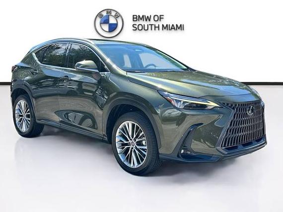LEXUS NX 2023 2T2HGCEZ3PC021007 image