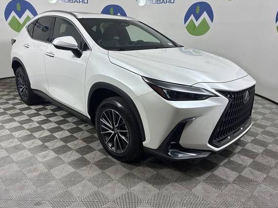 LEXUS NX 2023 JTJAKCEZ5P5006894 image