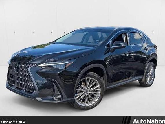 LEXUS NX 2023 2T2HGCEZXPC024941 image