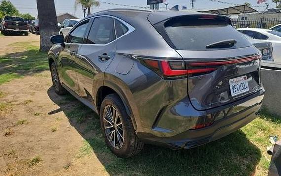 LEXUS NX 2023 JTJAGCEZ4P2009532 image