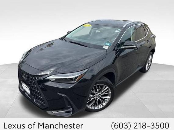 LEXUS NX 2023 2T2HGCEZ1PC018736 image