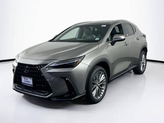 LEXUS NX 2023 2T2HGCEZ7PC019034 image