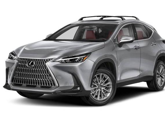 LEXUS NX 2023 2T2HGCEZ6PC022314 image