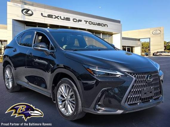 LEXUS NX 2023 2T2HGCEZ1PC021331 image
