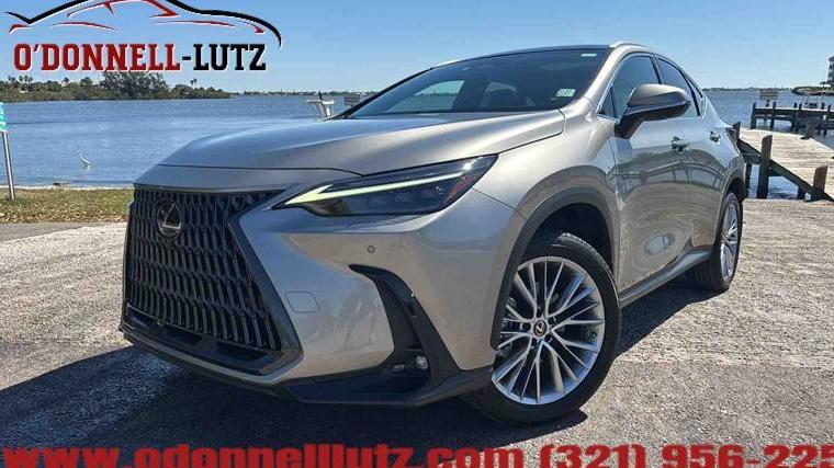 LEXUS NX 2023 2T2HGCEZ3PC028426 image