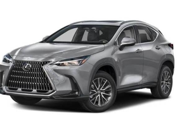 LEXUS NX 2023 JTJADCAZ1P5011994 image