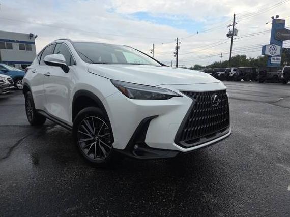 LEXUS NX 2023 JTJAGCEZ9P2009350 image