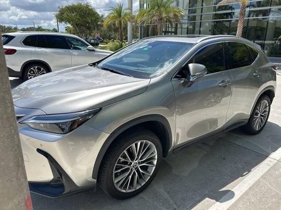 LEXUS NX 2023 2T2GKCEZ7PC009761 image