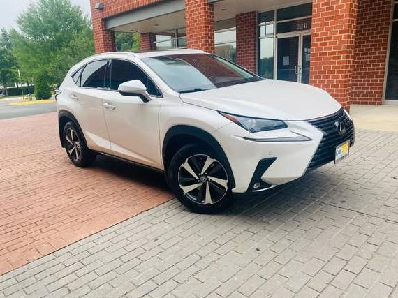 LEXUS NX 2019 JTJBARBZ0K2199044 image