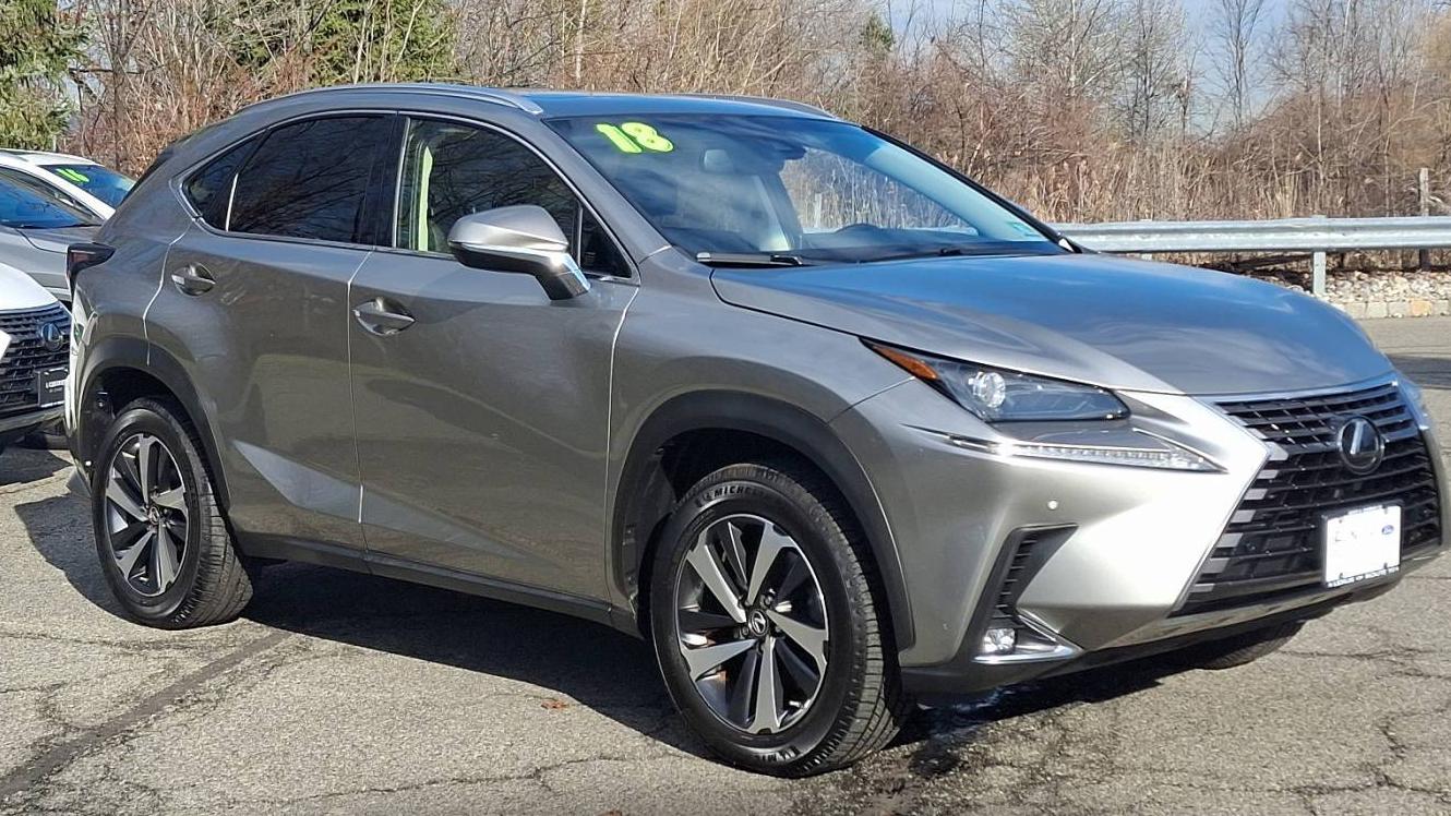 LEXUS NX 2018 JTJBARBZ3J2165808 image