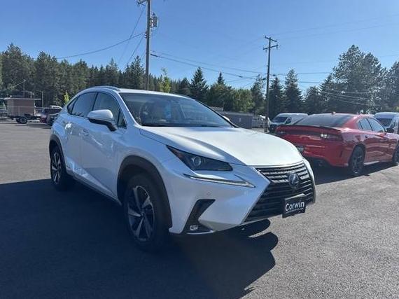 LEXUS NX 2018 JTJBJRBZ2J2090762 image