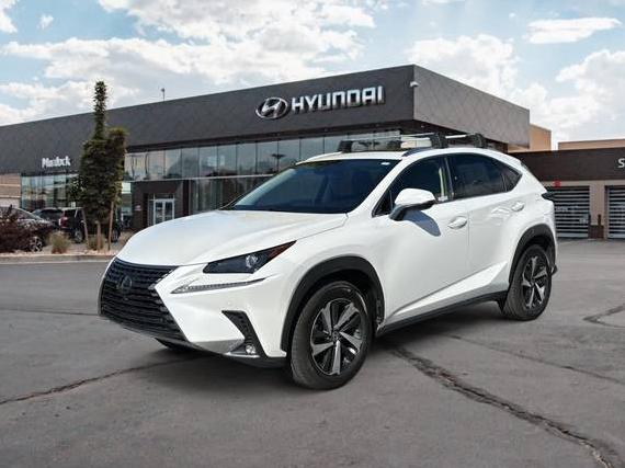 LEXUS NX 2021 JTJGARDZ7M5022415 image