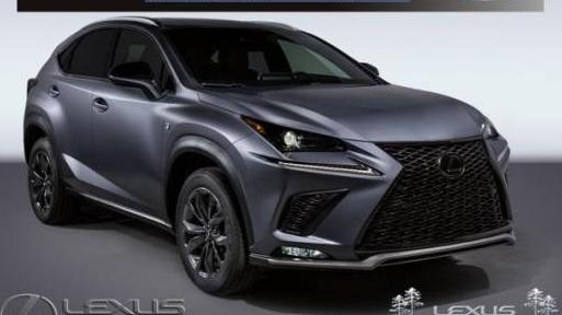 LEXUS NX 2021 JTJSARBZ3M2199199 image