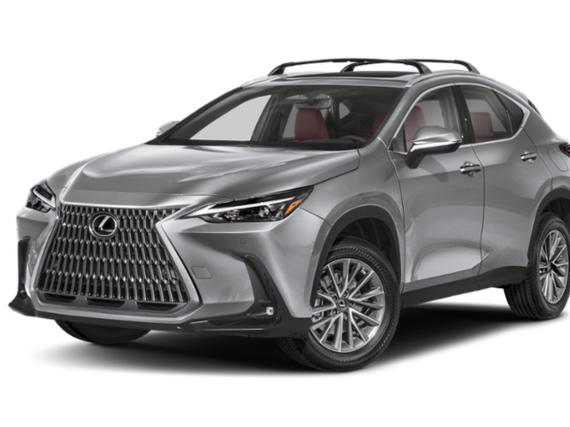 LEXUS NX 2024 2T2GGCEZ8RC056771 image