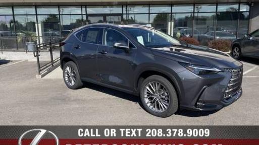 LEXUS NX 2024 2T2HGCEZ5RC036952 image