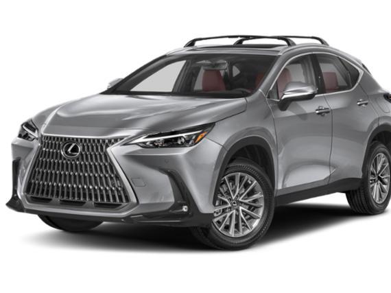 LEXUS NX 2024 2T2HGCEZ9RC048540 image