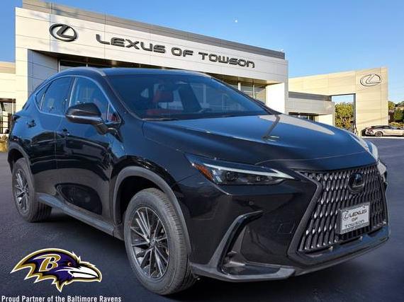 LEXUS NX 2024 2T2GKCEZ7RC031245 image