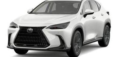 LEXUS NX 2024 2T2KGCEZ0RC038677 image
