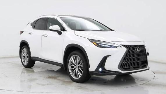 LEXUS NX 2024 2T2HGCEZXRC033674 image