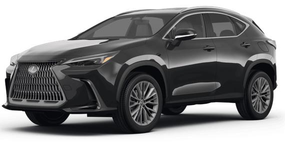 LEXUS NX 2024 2T2HGCEZ1RC033207 image