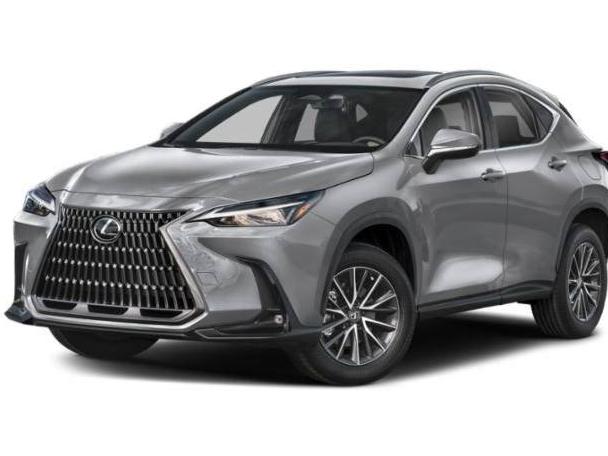 LEXUS NX 2024 2T2ADCAZ4RC008964 image