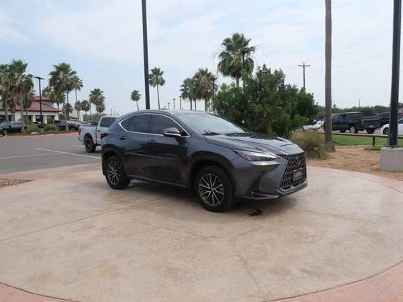 LEXUS NX 2024 2T2GDCAZXRC007070 image