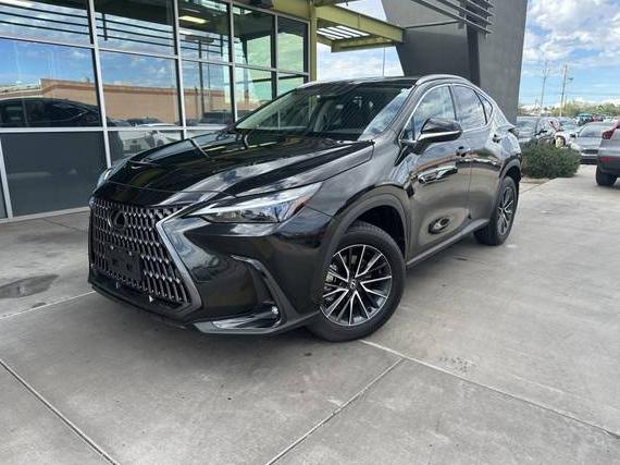 LEXUS NX 2024 2T2GDCAZ9RC015659 image