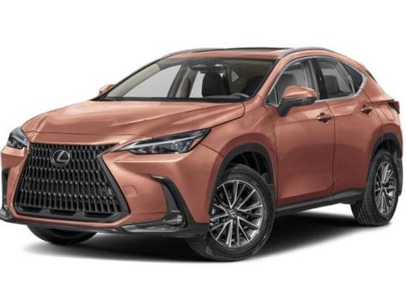 LEXUS NX 2024 2T2AGCEZ6RC042731 image