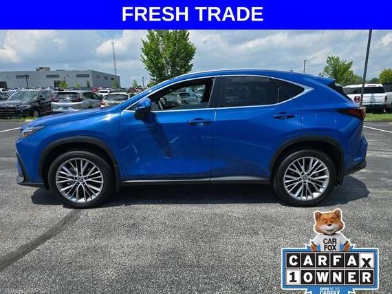 LEXUS NX 2024 2T2HGCEZ9RC041622 image