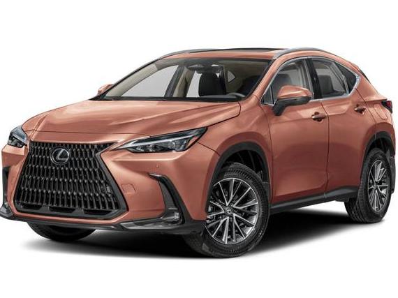 LEXUS NX 2024 2T2AGCEZ3RC040340 image