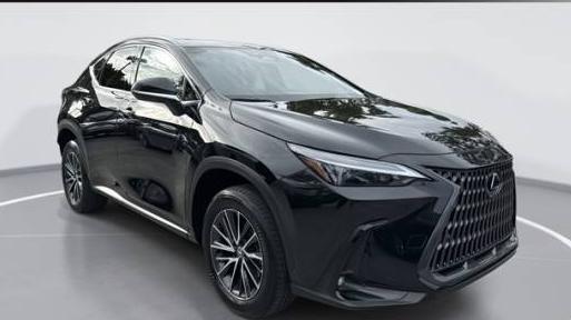 LEXUS NX 2024 2T2GDCAZ8RC007990 image