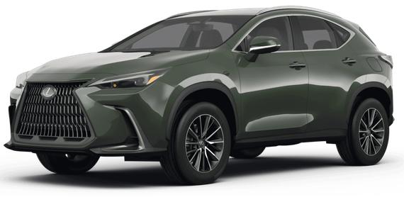 LEXUS NX 2024 2T2GDCAZ7RC014736 image