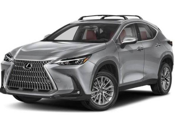 LEXUS NX 2024 2T2HGCEZ2RC032860 image