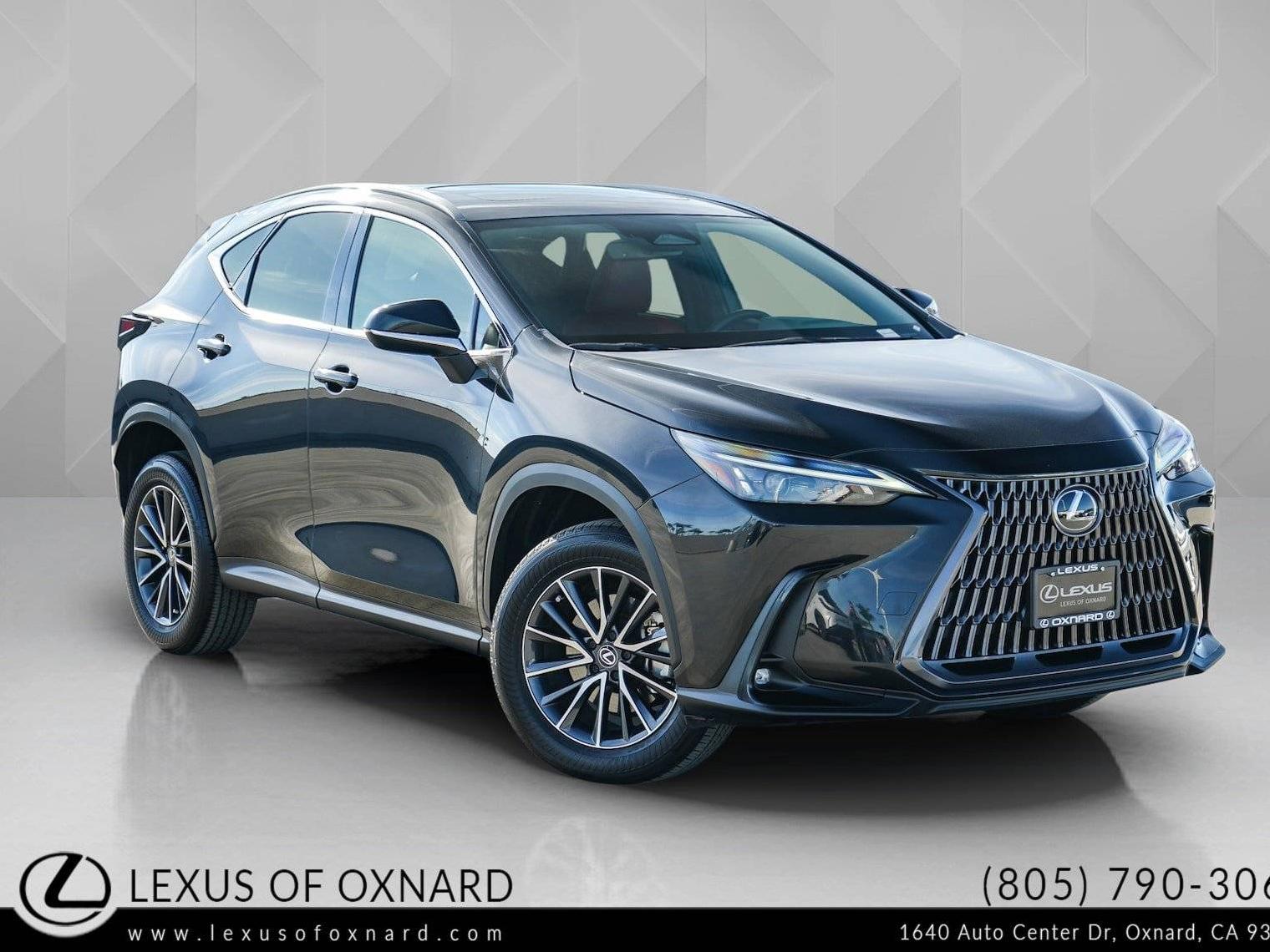 LEXUS NX 2024 2T2AGCEZXRC044952 image