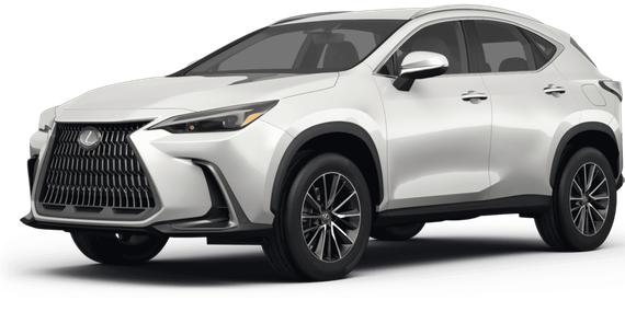 LEXUS NX 2024 2T2GDCAZ8RC014714 image