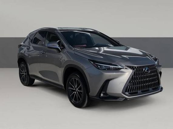LEXUS NX 2024 2T2GDCAZ2RC010562 image