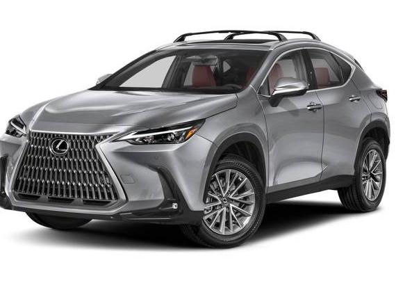 LEXUS NX 2024 2T2HGCEZXRC055416 image