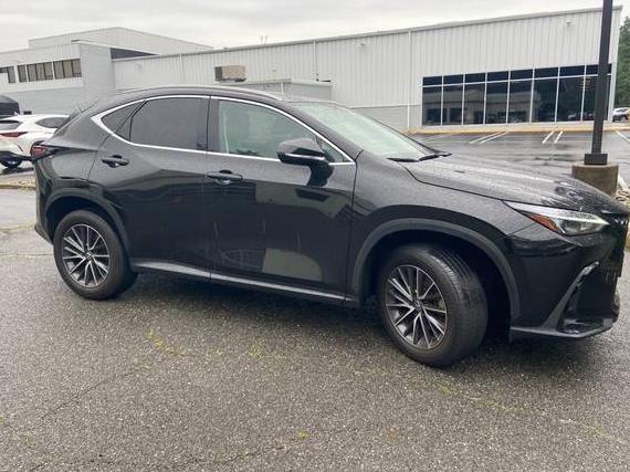 LEXUS NX 2024 2T2GGCEZ4RC040700 image