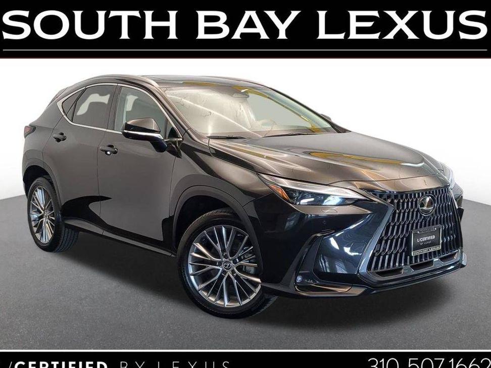 LEXUS NX 2024 2T2HGCEZ4RC038093 image