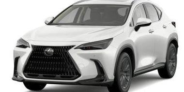LEXUS NX 2024 JTJKGCEZ5R2014455 image
