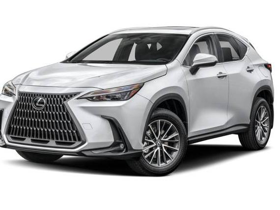 LEXUS NX 2024 2T2GKCEZ7RC023176 image