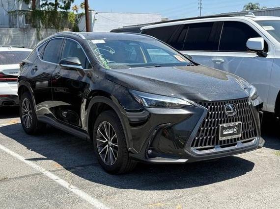 LEXUS NX 2024 2T2GGCEZ8RC052834 image