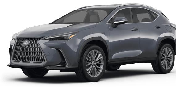 LEXUS NX 2024 2T2HGCEZXRC036008 image