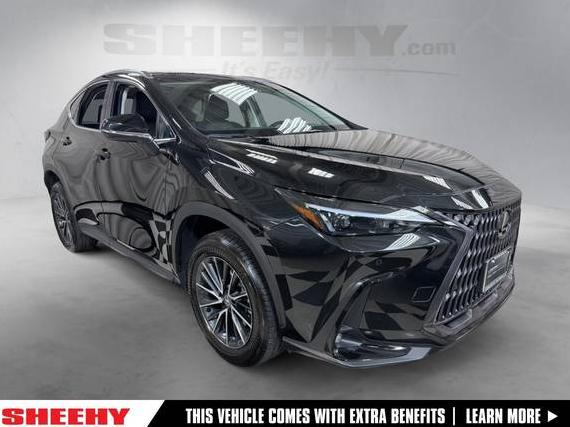 LEXUS NX 2024 2T2GGCEZ4RC037196 image