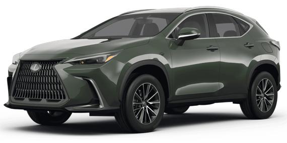 LEXUS NX 2024 2T2GDCAZ4RC011437 image
