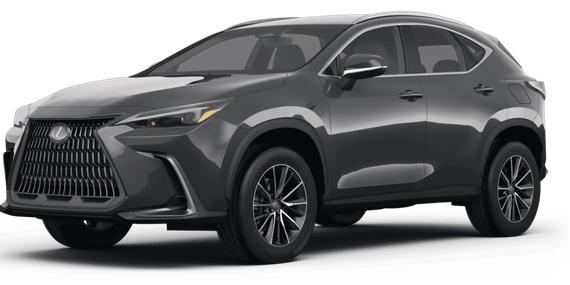 LEXUS NX 2024 2T2GDCAZXRC006100 image
